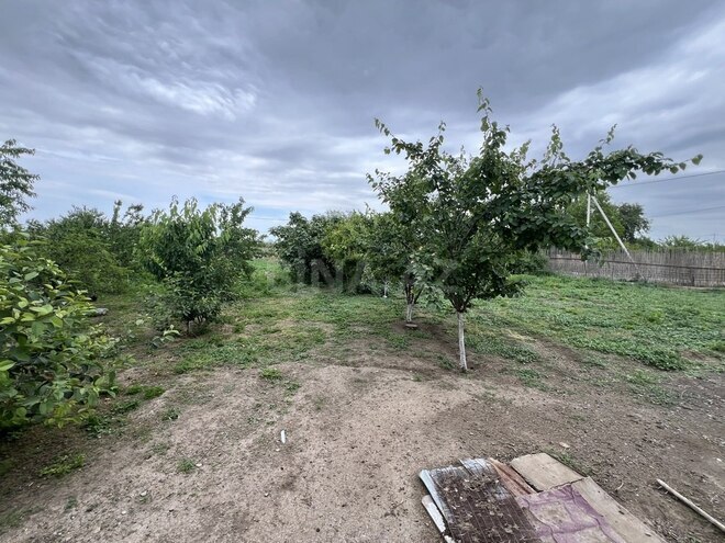 8 otaqlı həyət evi/bağ evi - Goranboy - 200 m² (29)
