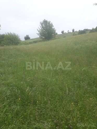 Torpaq - Şamaxı - 12 sot (4)