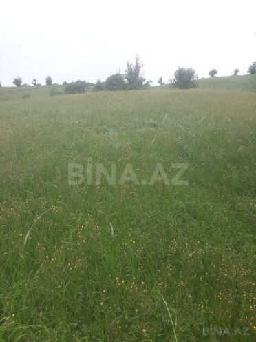Torpaq - Şamaxı - 12 sot (2)