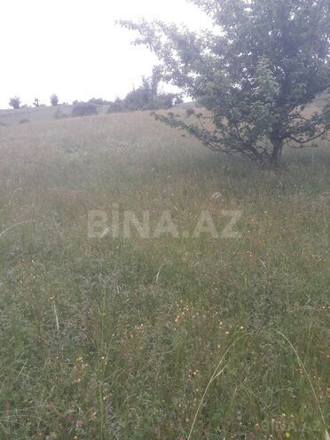 Torpaq - Şamaxı - 12 sot (1)