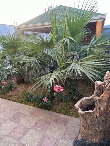 2 otaqlı həyət evi/bağ evi - Mərdəkan q. - 80 m² (5)
