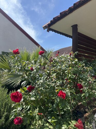 4 otaqlı həyət evi/bağ evi - Şüvəlan q. - 160 m² (13)