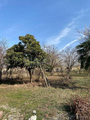 Продаётся 5-комн. дом/дача 180 м², photo 3 from 12