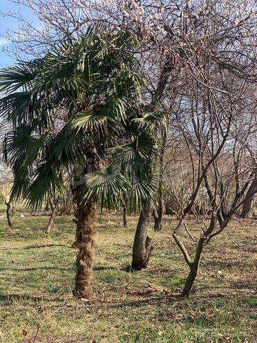 Продаётся 5-комн. дом/дача 180 м², photo 7 from 12