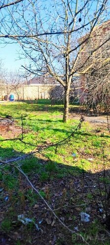 10 otaqlı həyət evi/bağ evi - Şağan q. - 320 m² (8)