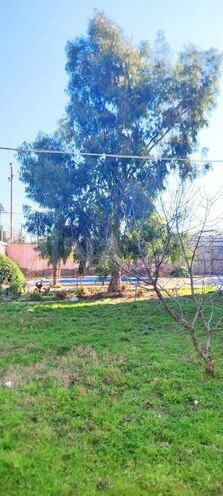 10 otaqlı həyət evi/bağ evi - Şağan q. - 320 m² (26)