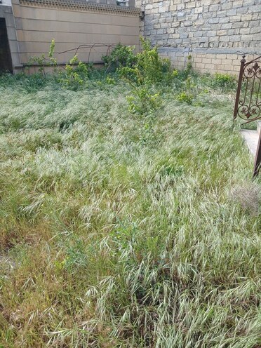 7 otaqlı həyət evi/bağ evi - Badamdar q. - 400 m² (5)