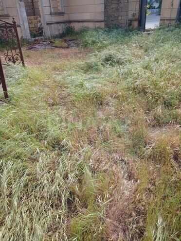 7 otaqlı həyət evi/bağ evi - Badamdar q. - 400 m² (4)