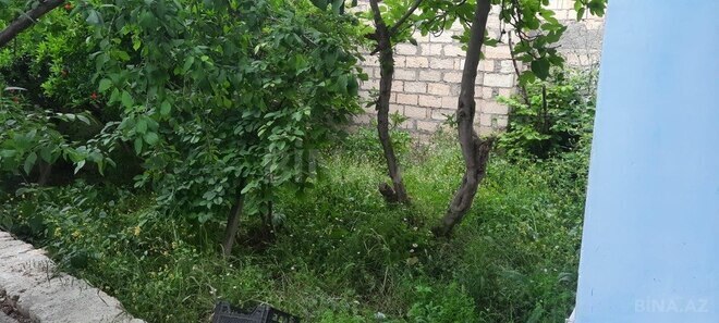 1-комн. дом/дача - Шабран - 74 м² (4)
