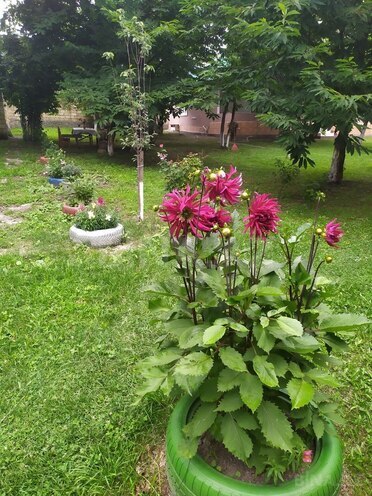 3 otaqlı həyət evi/bağ evi - Qəbələ - 150 m² (4)