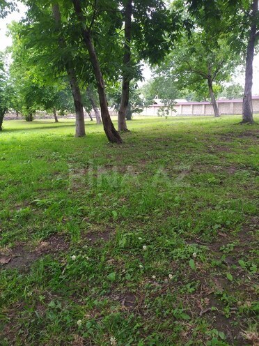 3 otaqlı həyət evi/bağ evi - Qəbələ - 150 m² (11)