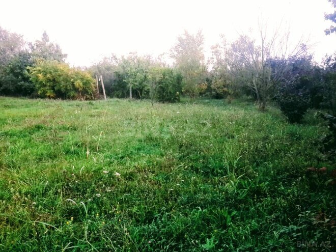 8 otaqlı həyət evi/bağ evi - Xaçmaz - 295 m² (4)