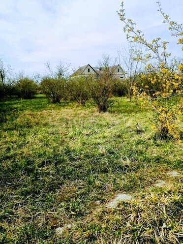 8 otaqlı həyət evi/bağ evi - Xaçmaz - 295 m² (6)
