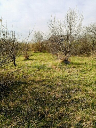 8 otaqlı həyət evi/bağ evi - Xaçmaz - 295 m² (9)