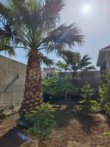 10 otaqlı həyət evi/bağ evi - Binəqədi q. - 500 m² (6)
