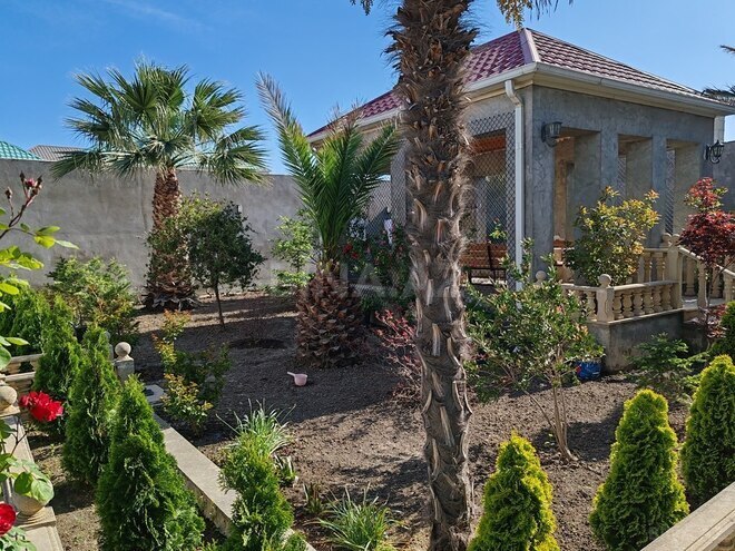 10 otaqlı həyət evi/bağ evi - Binəqədi q. - 500 m² (8)
