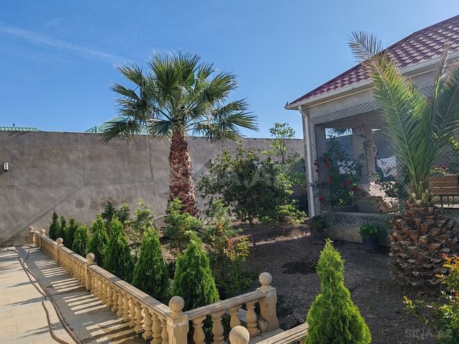 10 otaqlı həyət evi/bağ evi - Binəqədi q. - 500 m² (4)