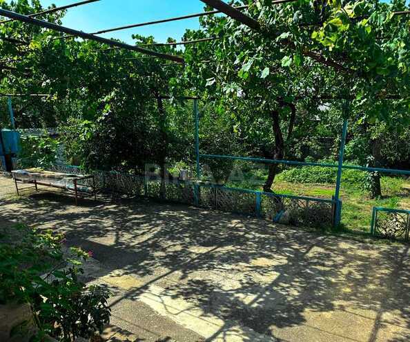 8 otaqlı həyət evi/bağ evi - Şamaxı - 242 m² (4)