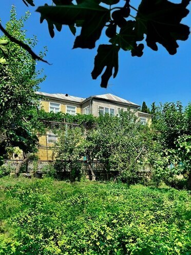 8 otaqlı həyət evi/bağ evi - Şamaxı - 242 m² (1)