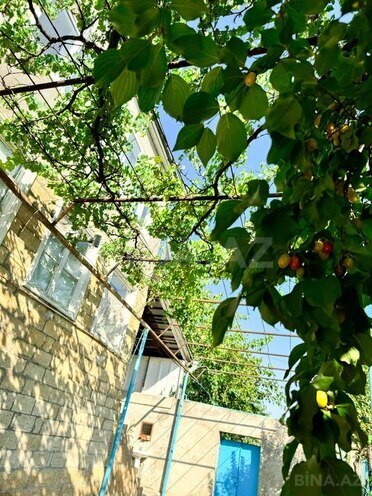 8 otaqlı həyət evi/bağ evi - Şamaxı - 242 m² (5)