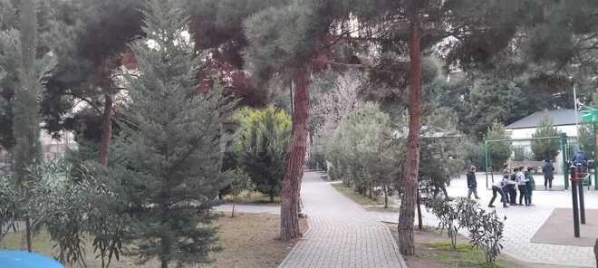 1-комн. вторичка - м. Ахмедлы - 43 м² (9)