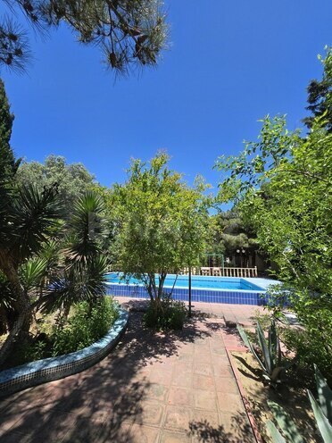 Продаётся  участок 24 сот, пос. Бильгях, photo 5 from 16