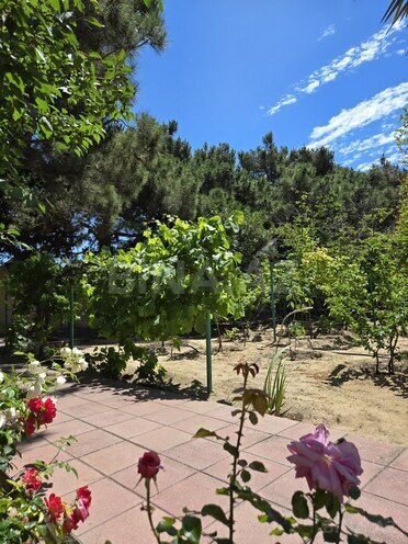 Продаётся  участок 24 сот, пос. Бильгях, photo 7 from 16