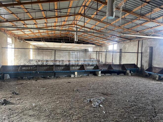 8 otaqlı həyət evi/bağ evi - Nardaran q. - 1600 m² (5)