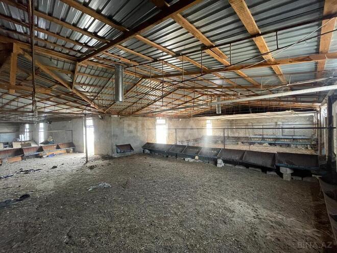 8 otaqlı həyət evi/bağ evi - Nardaran q. - 1600 m² (4)
