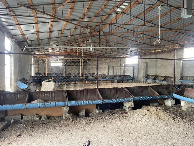 8 otaqlı həyət evi/bağ evi - Nardaran q. - 1600 m² (2)