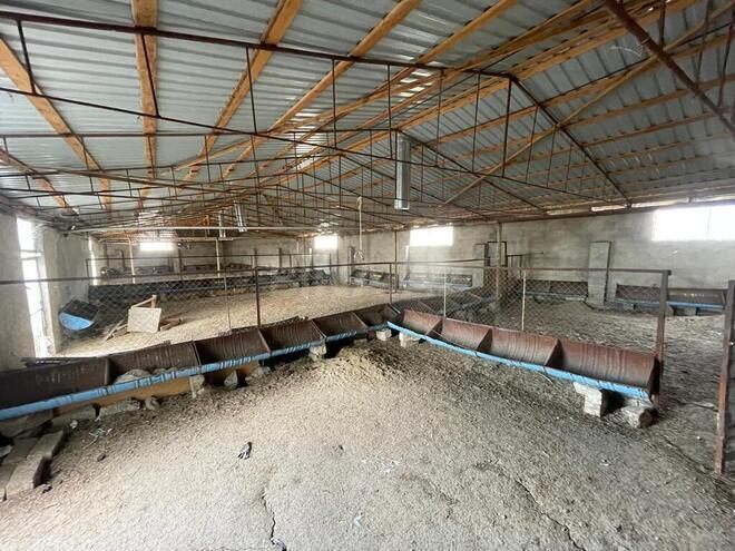 8 otaqlı həyət evi/bağ evi - Nardaran q. - 1600 m² (3)