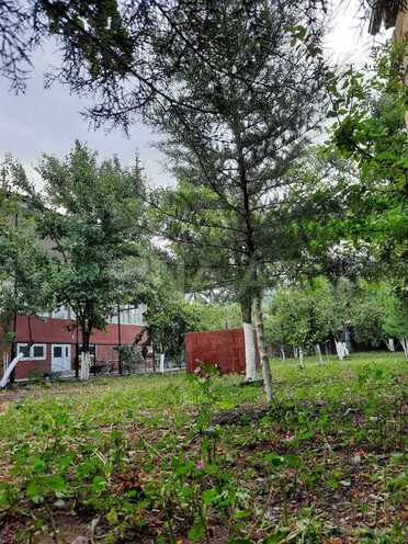 3-комн. дом/дача - Шеки - 120 м² (12)