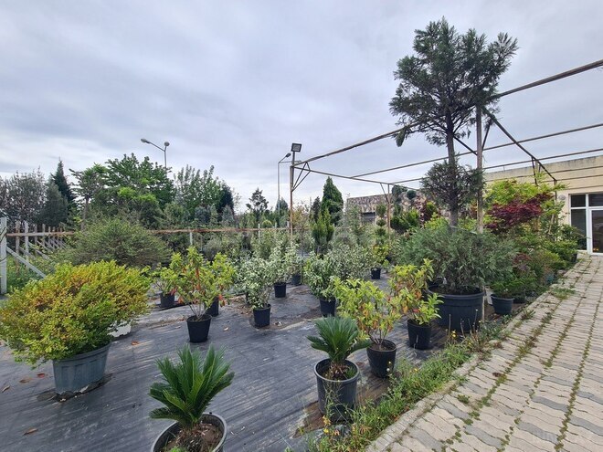 Продаётся  участок 120 сот, photo 9 from 14