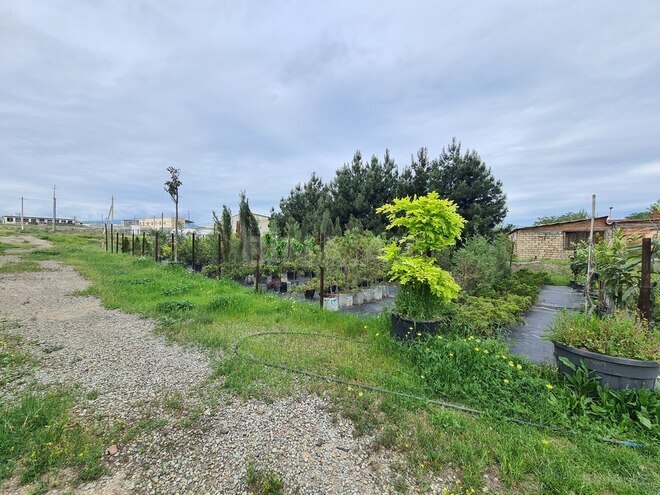 Продаётся  участок 120 сот, photo 11 from 14