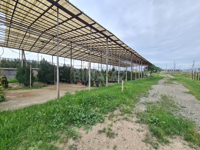 Продаётся  участок 120 сот, photo 10 from 14