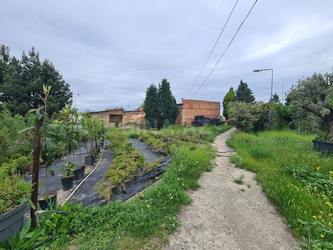 Продаётся  участок 120 сот, photo 3 from 14