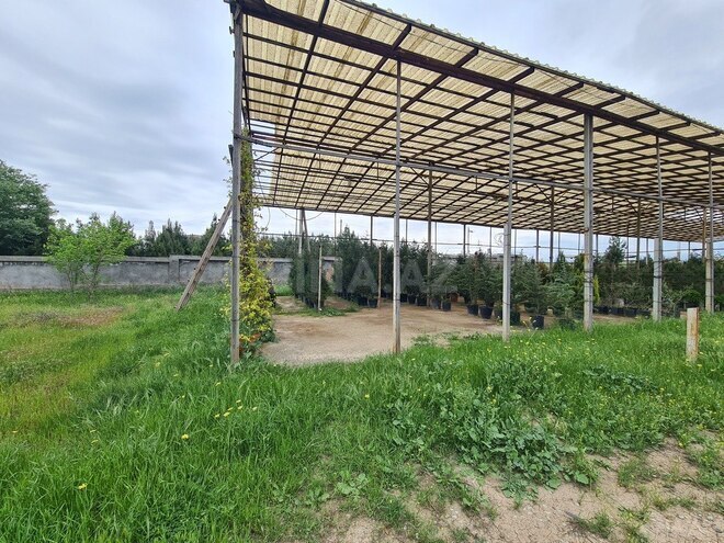 Продаётся  участок 120 сот, photo 4 from 14