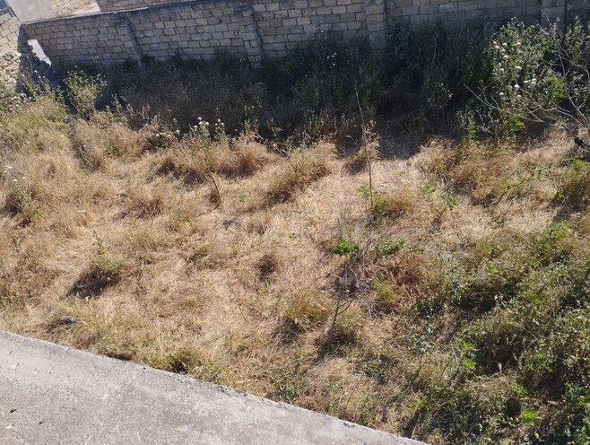 6 otaqlı həyət evi/bağ evi - Hövsan q. - 280 m² (10)