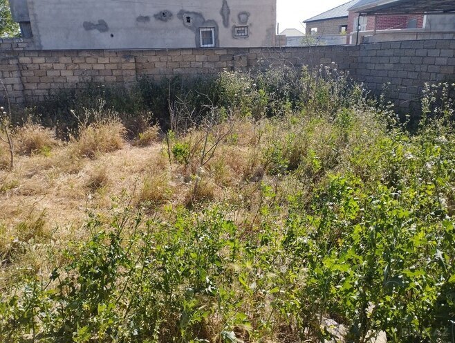 6 otaqlı həyət evi/bağ evi - Hövsan q. - 280 m² (17)