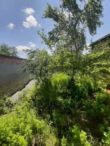 3 otaqlı həyət evi/bağ evi - Şəki - 100 m² (15)