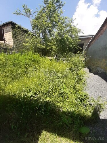 3 otaqlı həyət evi/bağ evi - Şəki - 100 m² (4)