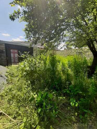 3 otaqlı həyət evi/bağ evi - Şəki - 100 m² (10)