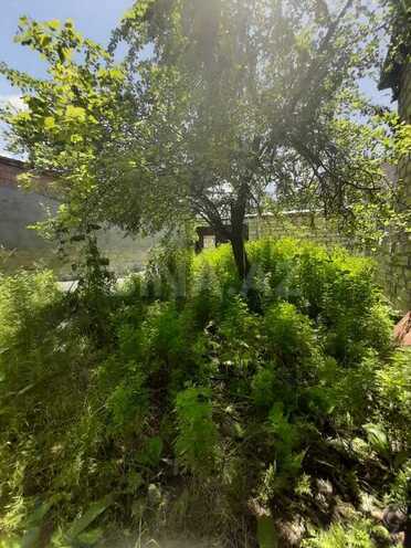 3 otaqlı həyət evi/bağ evi - Şəki - 100 m² (9)