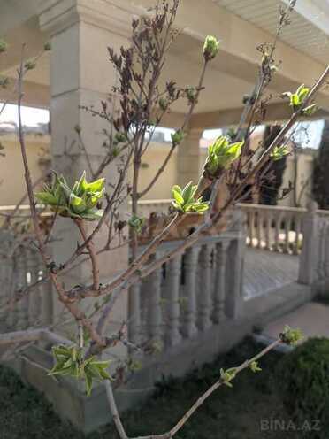 4 otaqlı həyət evi/bağ evi - Novxanı q. - 200 m² (29)