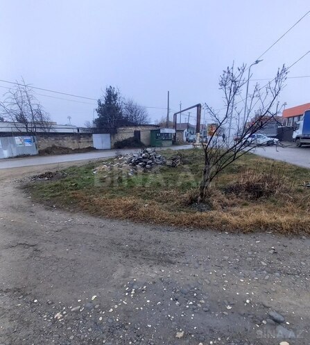 Torpaq - Quba - 1 sot (1)
