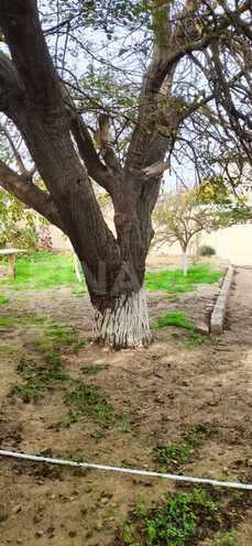 2 otaqlı həyət evi/bağ evi - Pirallahı r. - 50 m² (6)