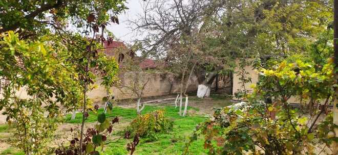 2 otaqlı həyət evi/bağ evi - Pirallahı r. - 50 m² (3)