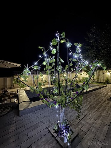 2 otaqlı həyət evi/bağ evi - Qəbələ - 110 m² (5)