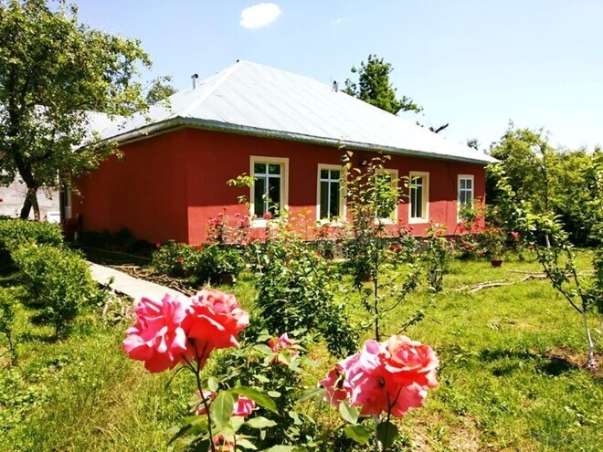 4 otaqlı həyət evi/bağ evi - Qəbələ - 120 m² (3)
