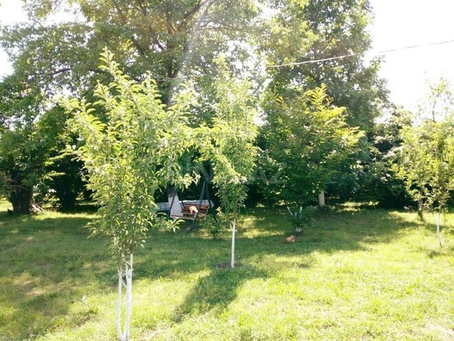 4 otaqlı həyət evi/bağ evi - Qəbələ - 120 m² (20)